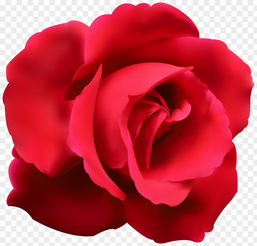 Red Rose Clip Art Image Blue Flower PNG