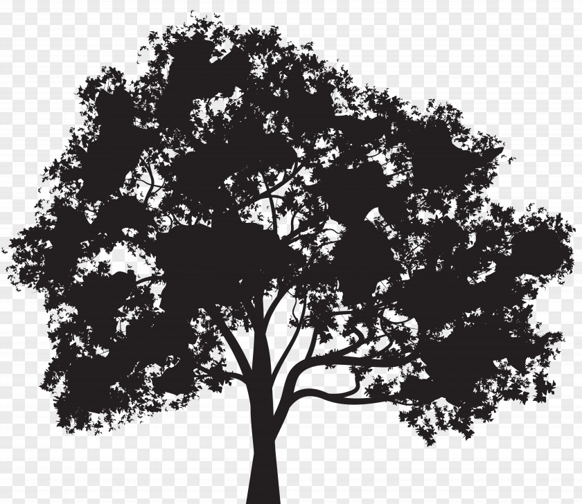 Tree Silhouette Clip Art Image PNG