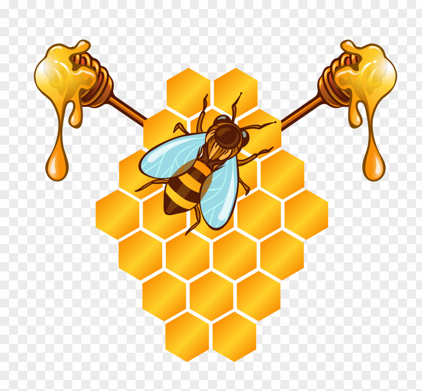 Vector Bee Honey Material Honeycomb PNG