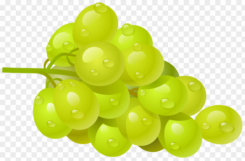 White Grape Clipart Picture Common Vine Wine Clip Art PNG