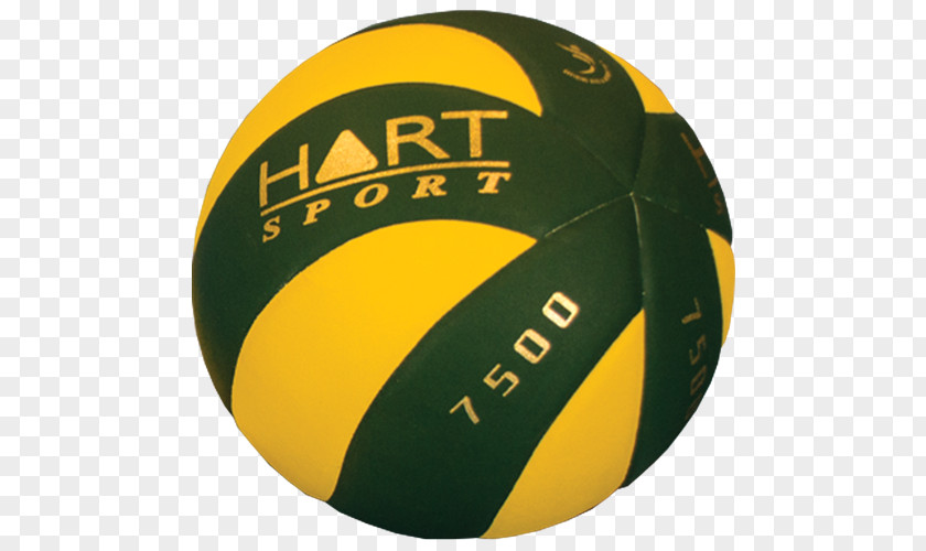 Ball Medicine Balls Volleyball Exercise Bicast Leather PNG