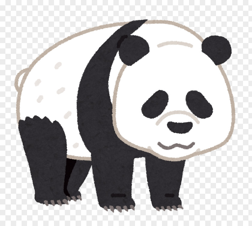 Bear Giant Panda Ueno Zoo いらすとや Xiang PNG