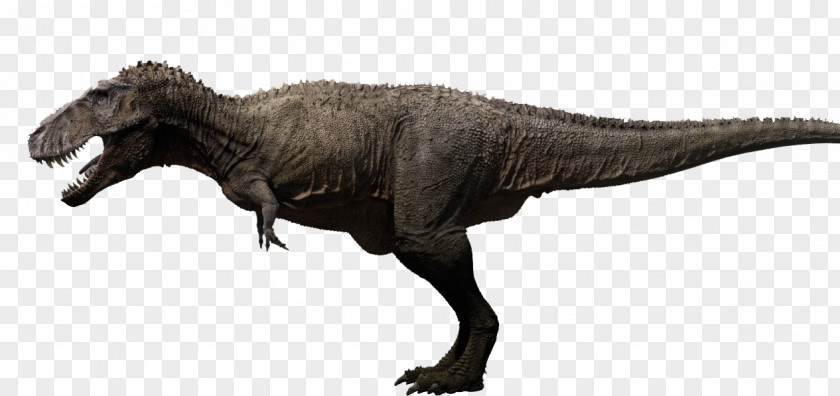 Dinosaur Tyrannosaurus Torvosaurus Carcharodontosaurus Meat-Eating Dinosaurs Suchomimus PNG