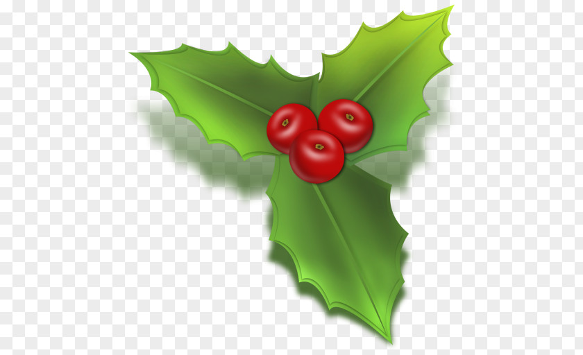 Holly Common Christmas Tree Clip Art PNG