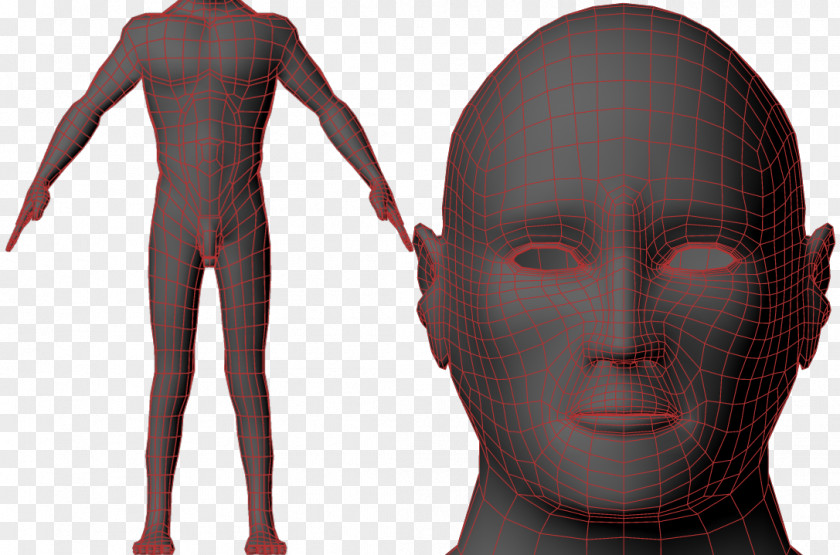 Lowpoly Homo Sapiens Mannequin Shoulder Muscle PNG