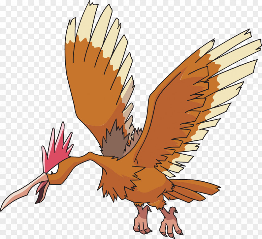 Pokémon Red And Blue Fearow Pidgeot Vrste PNG
