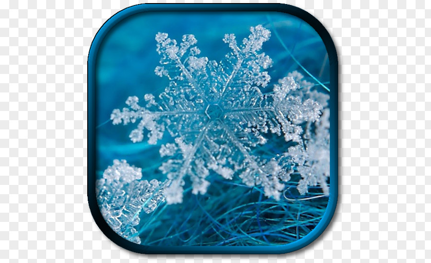 Snowflake Desktop Wallpaper Winter PNG