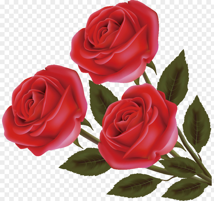 Three Flowers Roses Valentines Day PNG