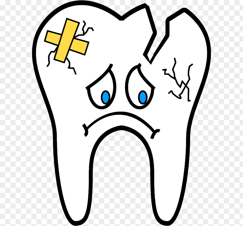 Tooth Fairy Human Dentistry Wisdom Dental Extraction PNG