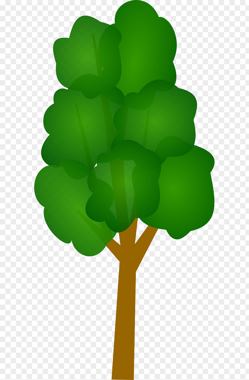 Tree Clip Art Vector Graphics Illustration PNG