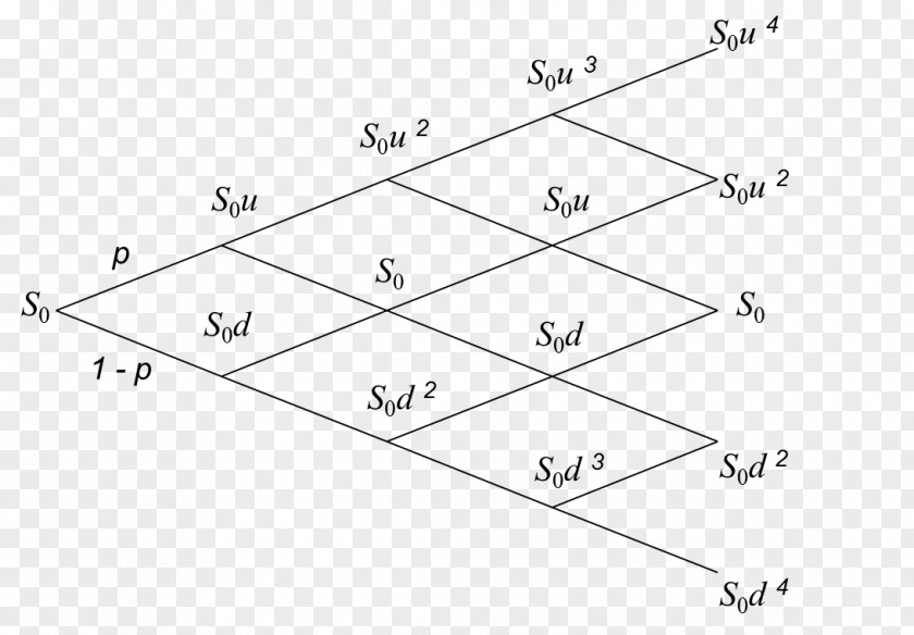 Tree Front Binomial Distribution Operator Elementary Arithmetic Bernoulli Probability PNG