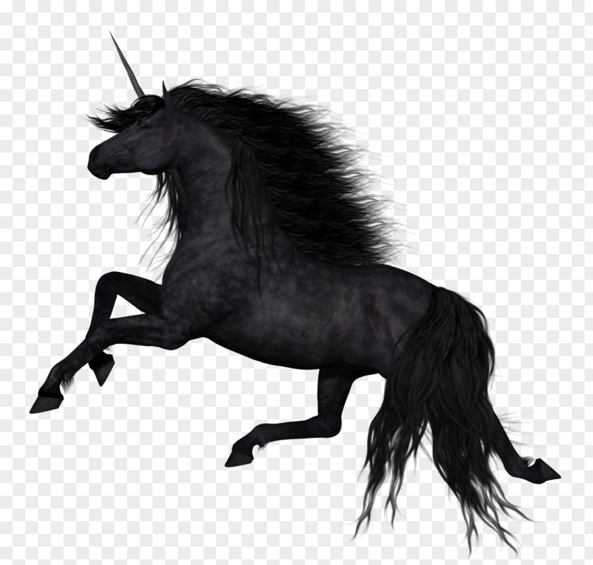 Unicorn Stallion American Paint Horse Mane PNG