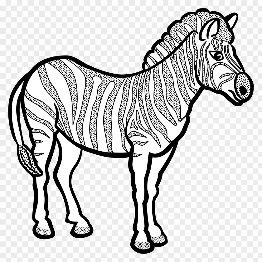 Zebra Coloring Book Horse Quagga Clip Art PNG
