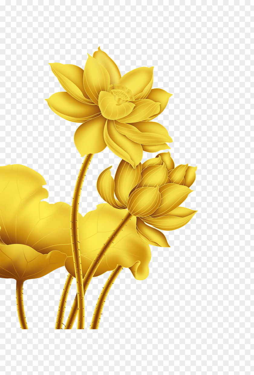 Beautifully Decorated Golden Lotus Beautiful Gold Flower Nelumbo Nucifera PNG