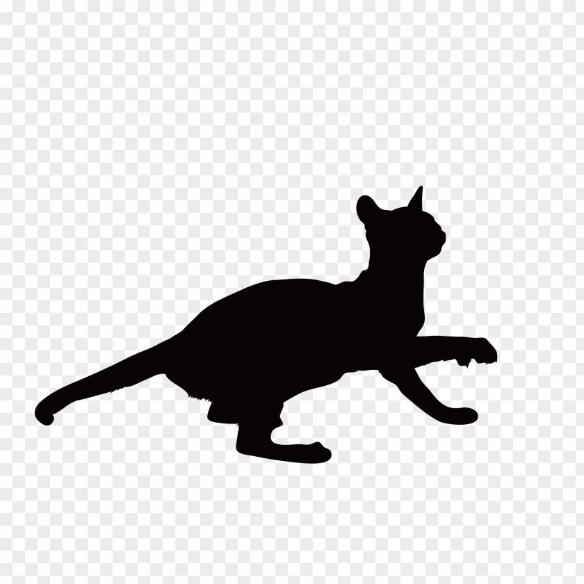 Cat Silhouette Black Kitten Whiskers Around PNG