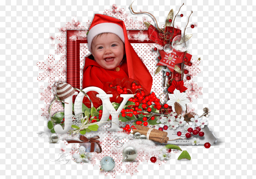 Flower Christmas Ornament Day Infant PNG
