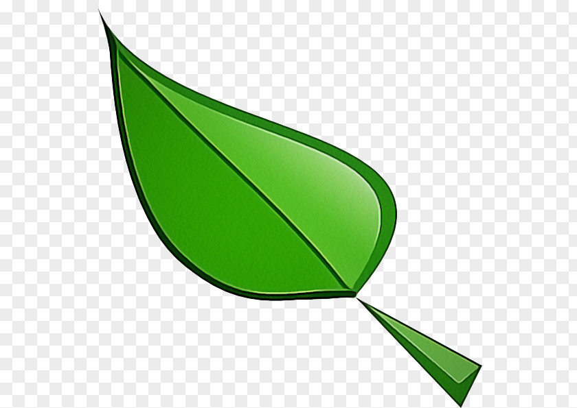 Logo Plant Leaf Green Clip Art PNG