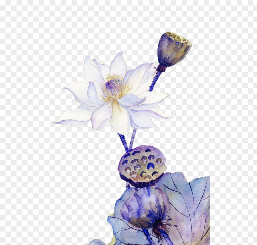 Pure Lotus And Root Chinoiserie Painting PNG