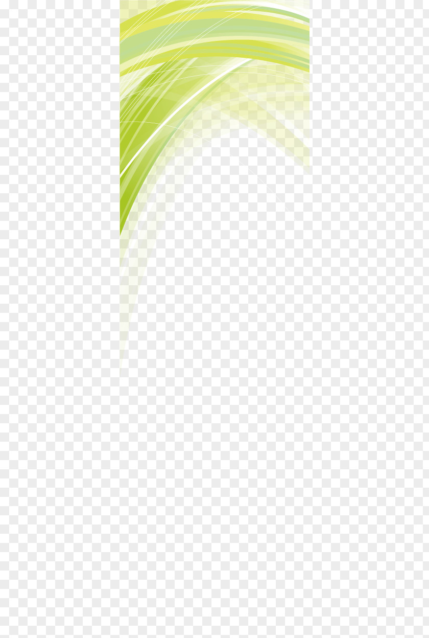 Creative Green Wavy Line Border Euclidean Vector Icon PNG