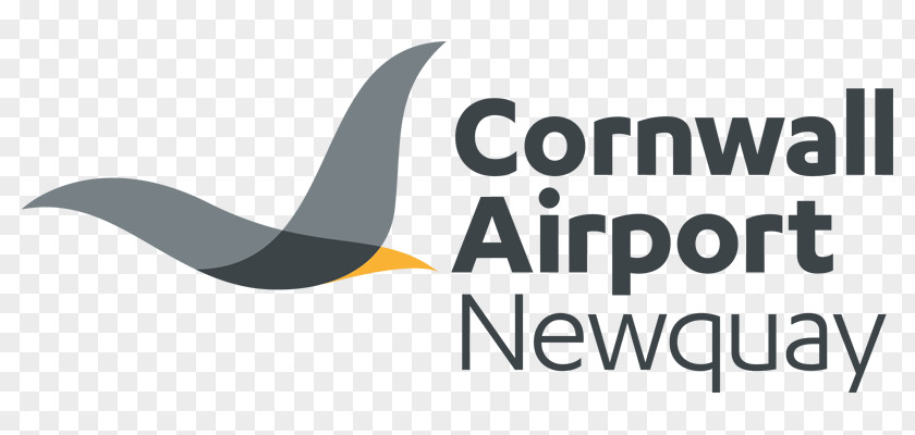 Newquay Logo Airplane Airport Aircraft PNG