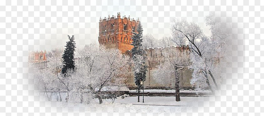 Snow Treasure Building Tree Winter PNG