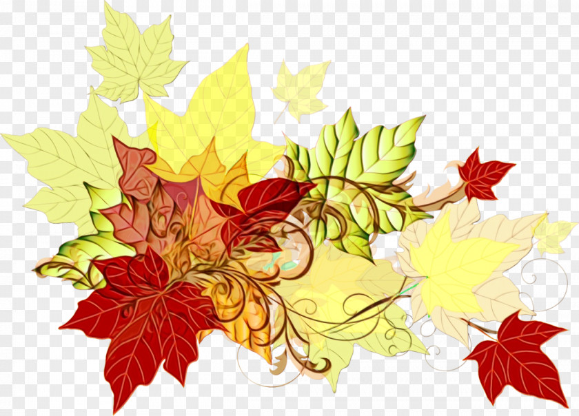 Deciduous Flower Autumn Leaves Watercolor PNG