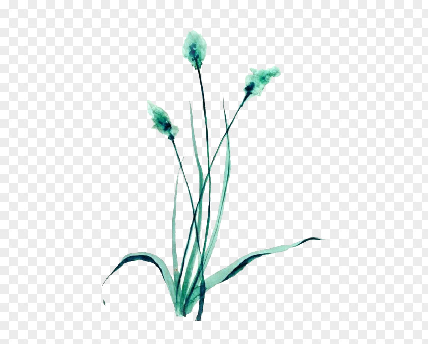 Green Grass Floral Design PNG