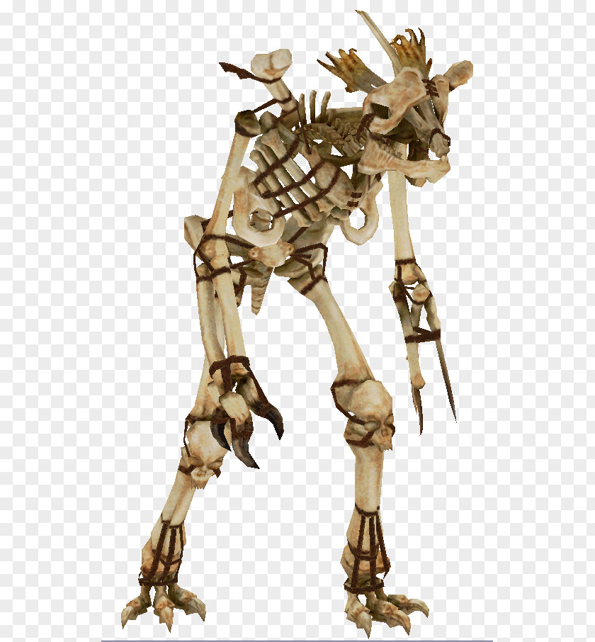 Skeleton Shivering Isles Nexus Mods Necromancy PNG