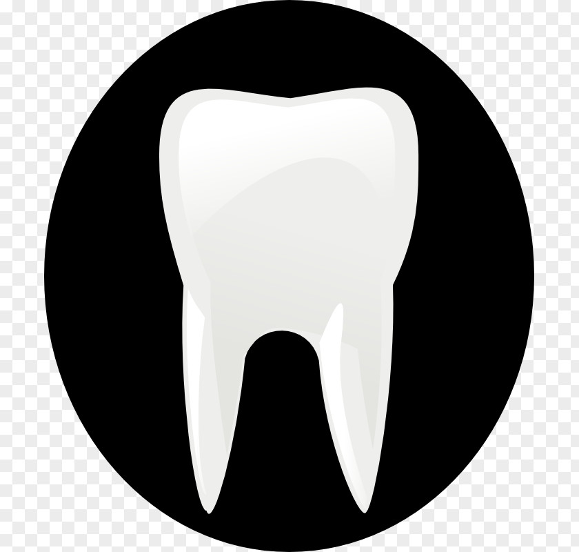 Tooth Images Dentistry Clip Art PNG