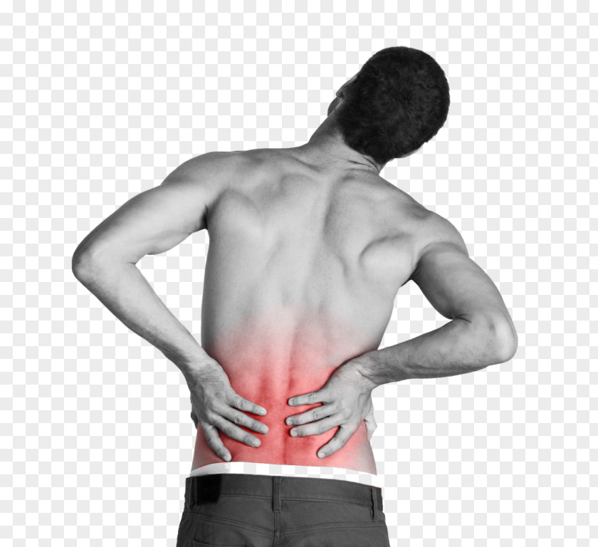 Back Pain Low Tiger Balm Human Physical Therapy PNG