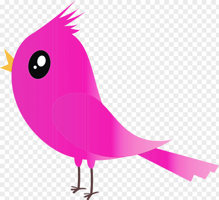 Bird Pink Beak Violet Cartoon PNG