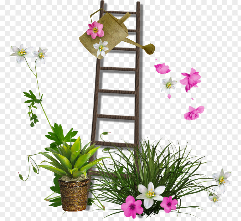 Ladder Clip Art Garden Staircases PNG