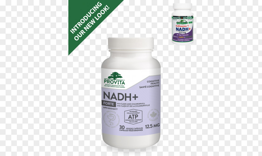 Natural Nutrition Dietary Supplement Common Evening-primrose Liquid Medicine PNG