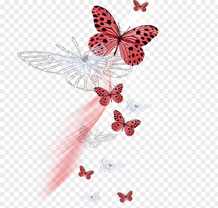 Papillon Pine Butterflies And Moths Color PNG