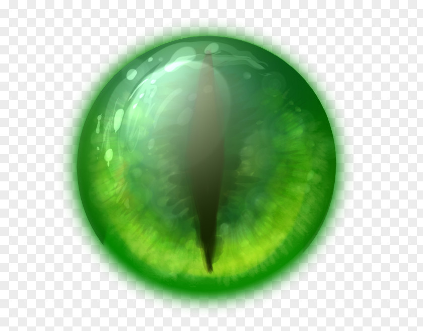 Reptile Eye Lizard Pupil PNG