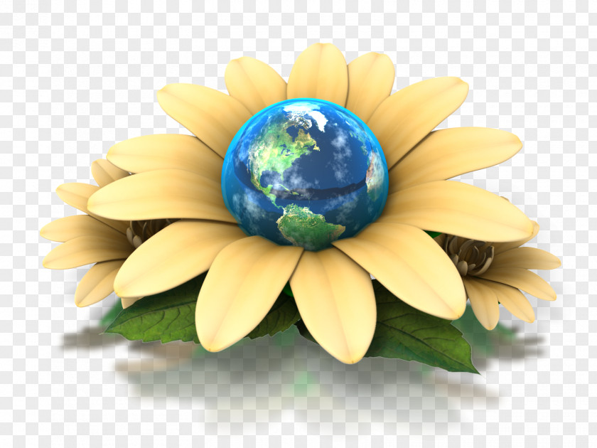 Caring For The Earth Day Flower Human Impact On Environment PNG