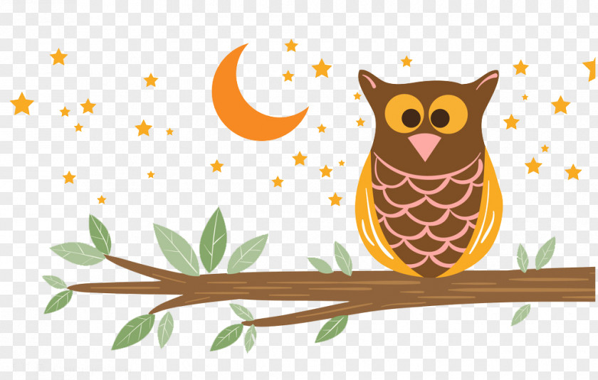 Cartoon Night Owl Ural Bird Illustration PNG