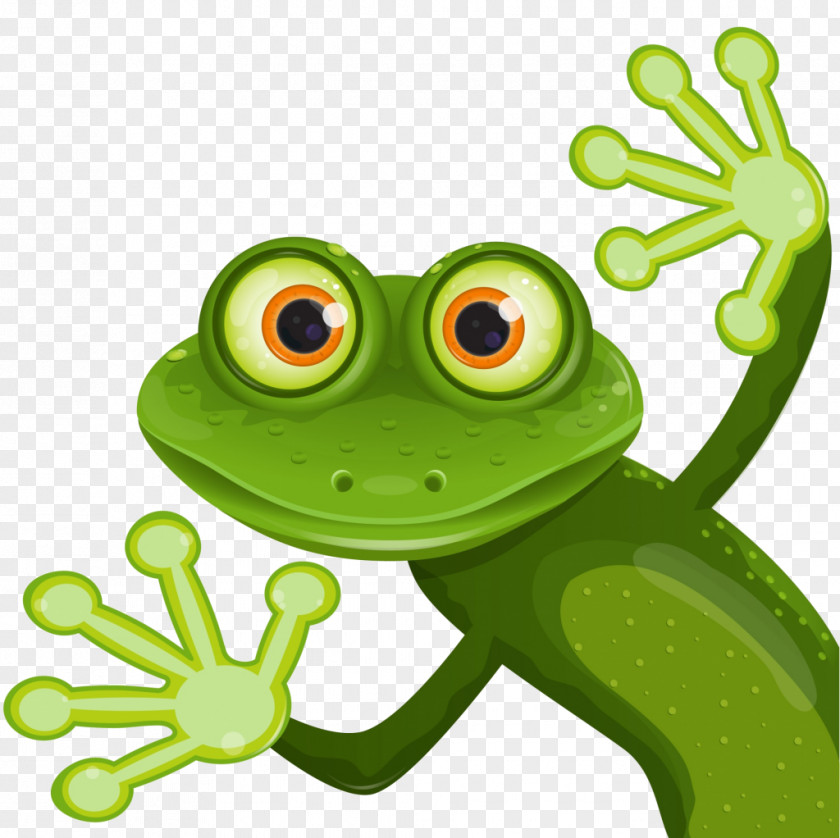 Frog Royalty-free Vector Graphics Stock Photography Illustration PNG