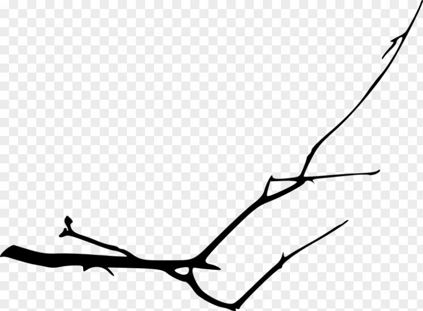 Silhouette Twig Clip Art PNG