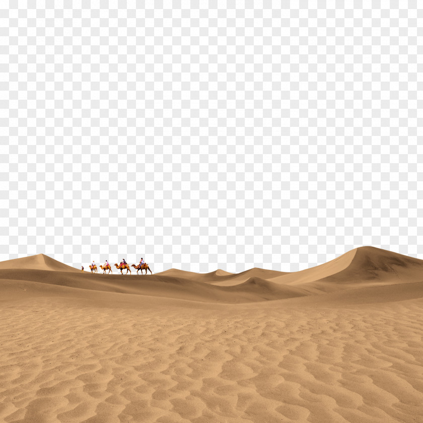 The Camel In Desert Floor Brown Sky Pattern PNG