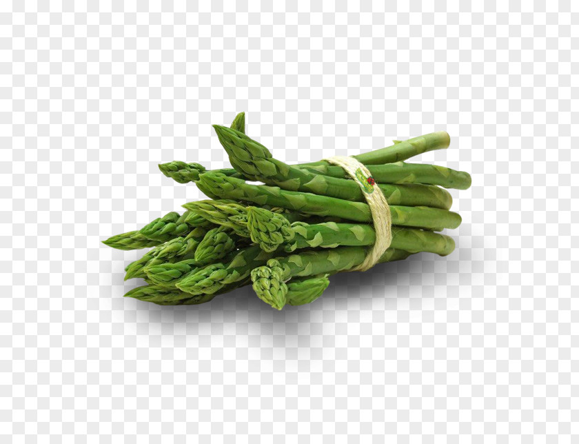 Vegetable Asparagus Leaf Vitamin E PNG