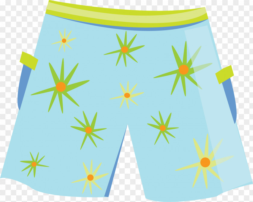 Accessories Clipart Swimming Pool Party Birthday Trunks PNG