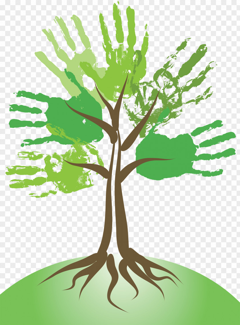 Hand-painted Giving Tree Photography PNG