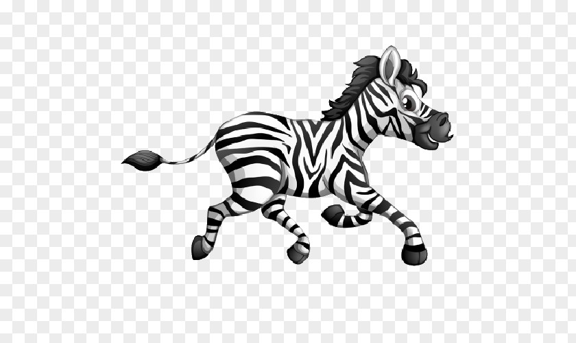 Horse Zebra Clip Art PNG