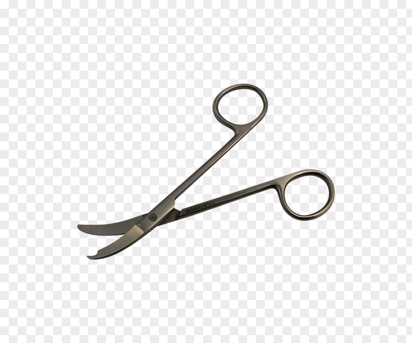 Stetoskop Hair Shear Centimeter Scissors Product Design Surgery PNG