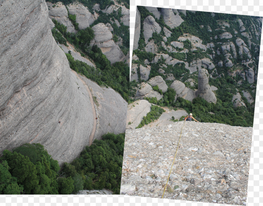 Tree Geology Santa Maria De Montserrat Abbey Phenomenon PNG