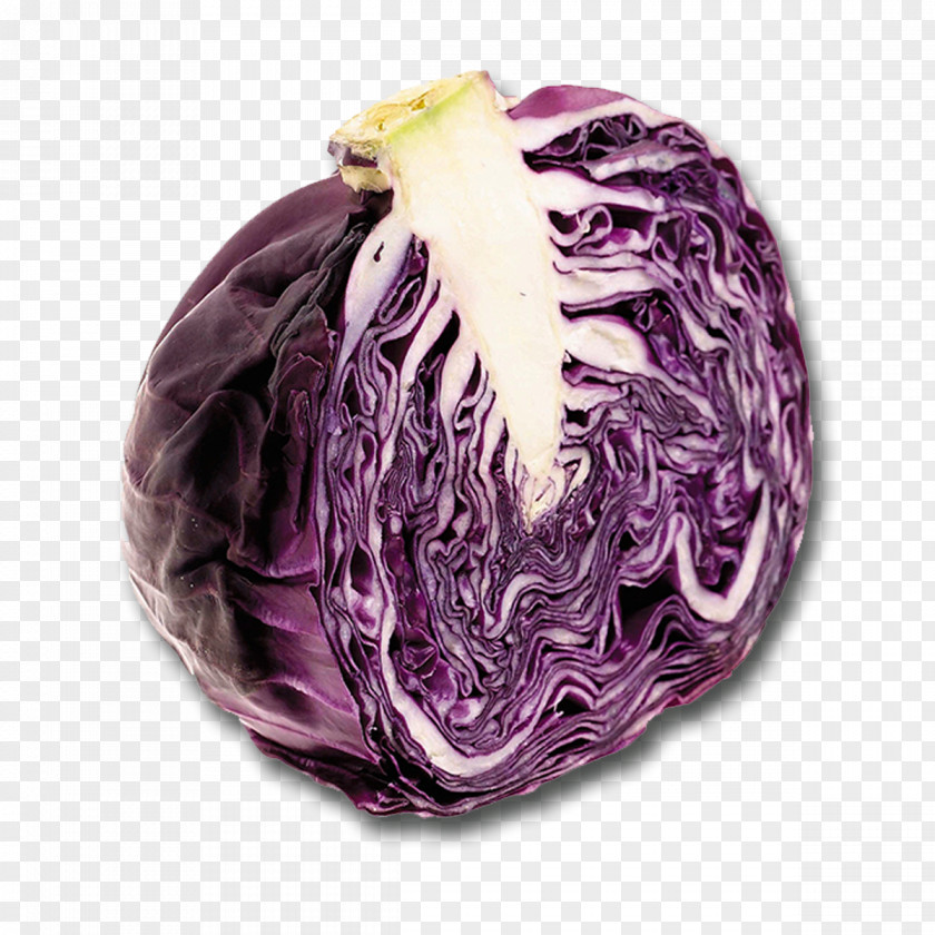 Vegetable Red Cabbage Cocido Recipe PNG