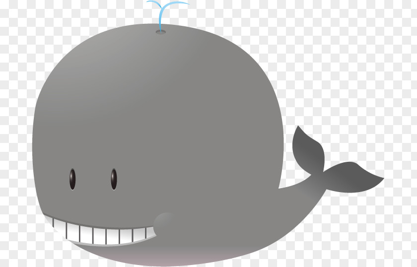 Cetacea Logo Whale Cartoon PNG