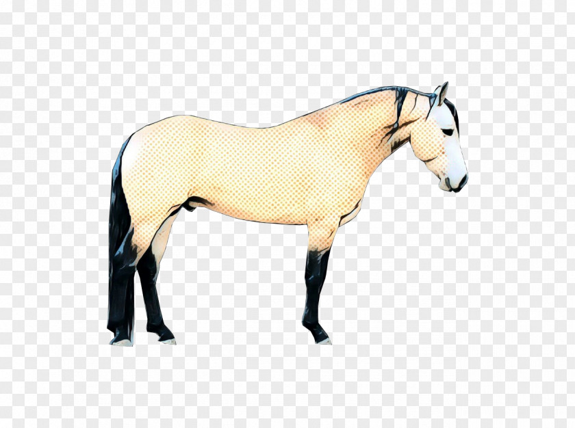 Liver Livestock Horse Cartoon PNG