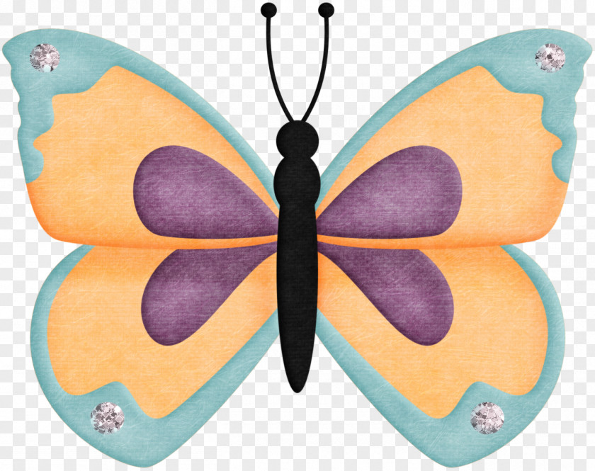 Colorful Butterfly Monarch Paper PNG